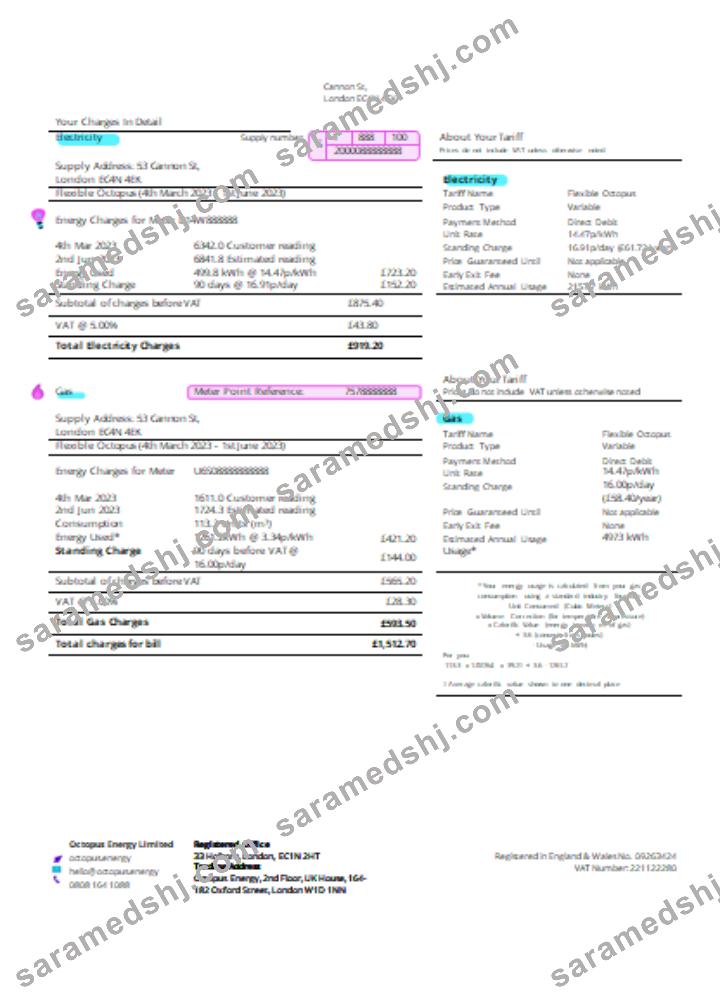 Octopus Energy utility business bill SCR page 2